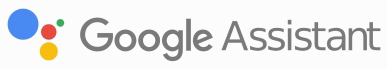 Google Assistant